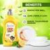 Santorini Dish Wash Lemon Gel 500ml (Pack of 2)