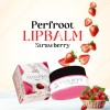 Perfroot Strawberry Lipbalm 12gm